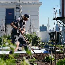 kertészeti webáruház kertészet webáruház